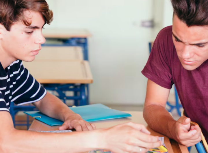 Juvenile Rehabilitation Curriculum
