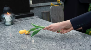 Granite Gravestone Cleaner